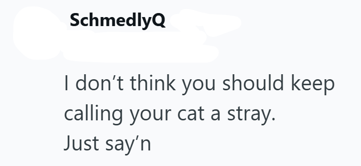 SchmedlyQ I don't think you should keep calling your cat a stray. Just say'n