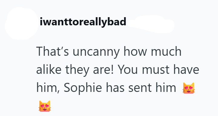 iwanttoreallybad That's uncanny how much alike they are! You must have him, Sophie has sent him