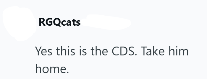 RGQcats Yes this is the CDS. Take him home.