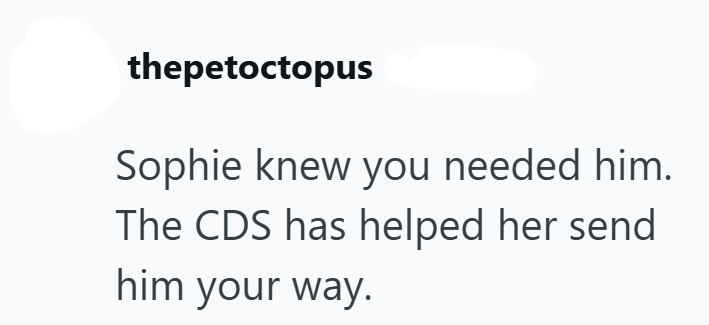 thepetoctopus Sophie knew you needed him. The CDS has helped her send him your way.
