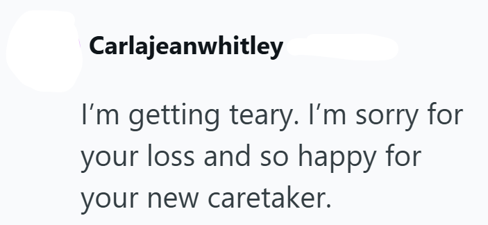 Carlajeanwhitley I'm getting teary. I'm sorry for your loss and so happy for your new caretaker.