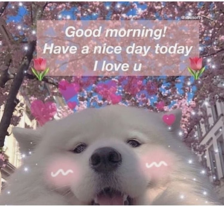 strisoft Good morning! Have a nice day today I love u M