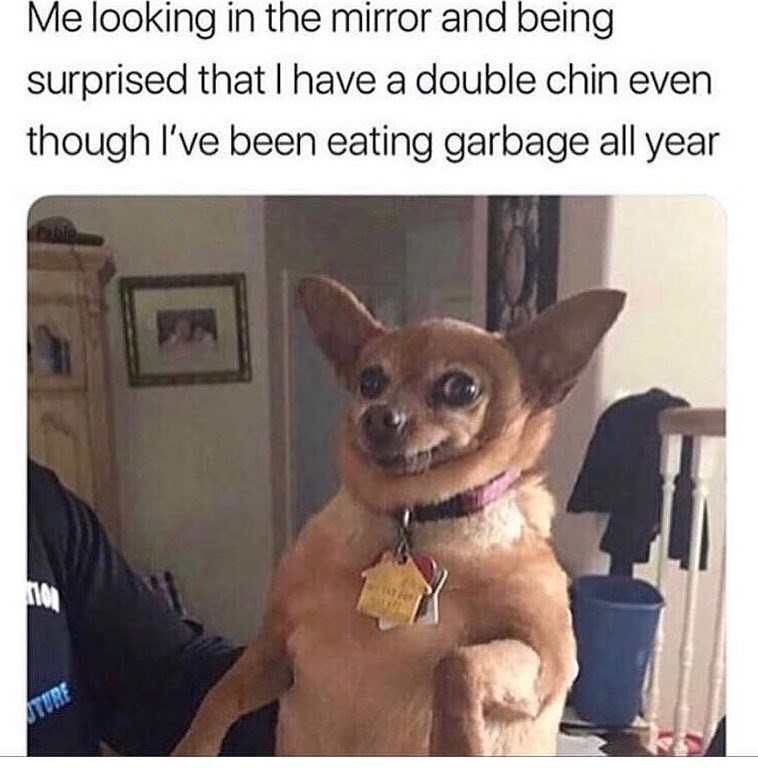 STURE Me looking in the mirror and being surprised that I have a double chin even though I've been eating garbage all year