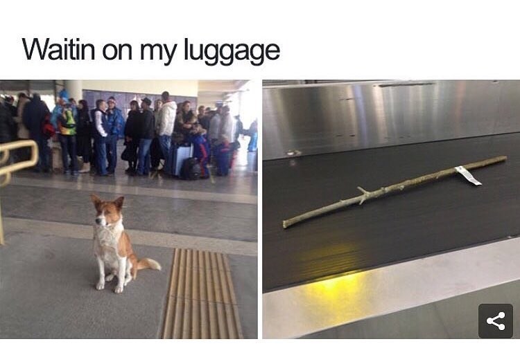 Waitin on my luggage V