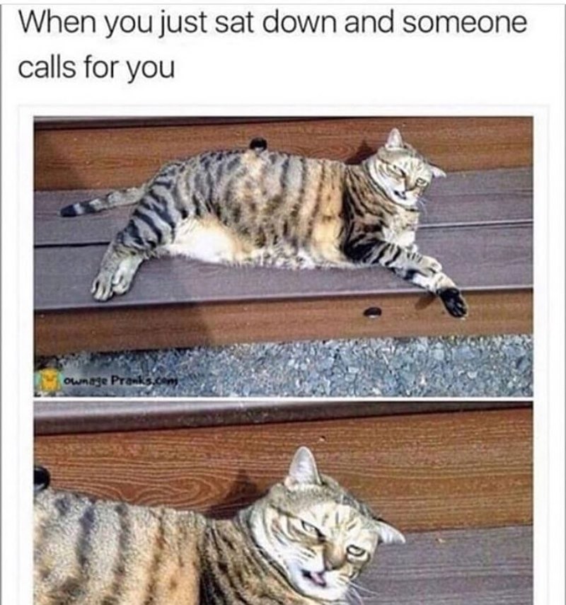 When you just sat down and someone calls for you Ownage Pranks.com