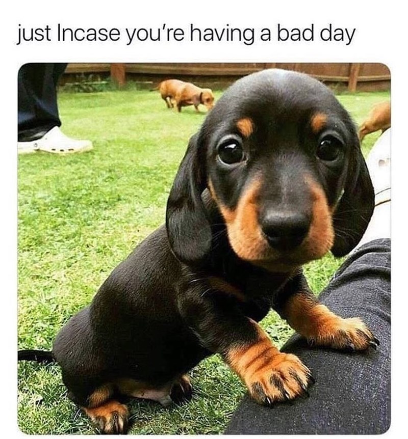 just Incase you're having a bad day