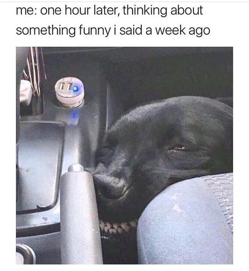 me: one hour later, thinking about something funny i said a week ago TTO