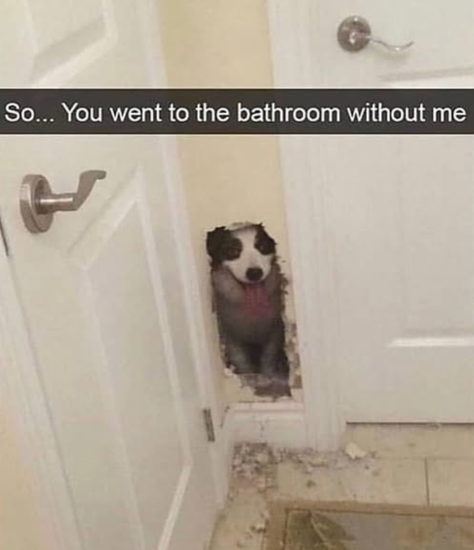So... You went to the bathroom without me