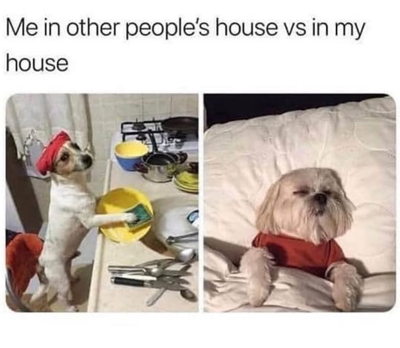 Me in other people's house vs in my house