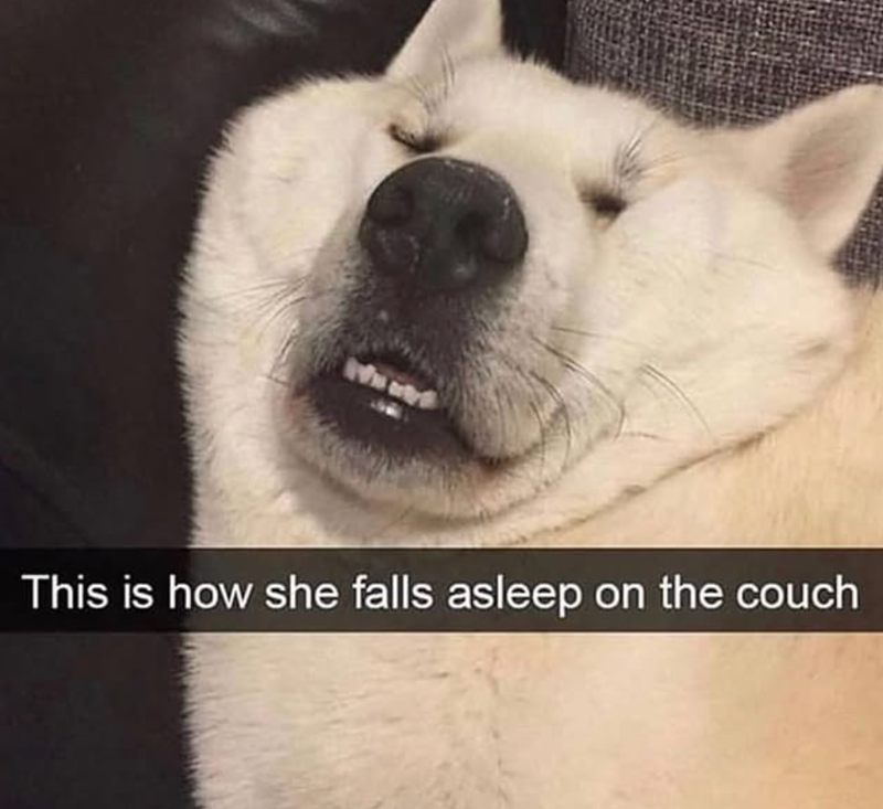 This is how she falls asleep on the couch