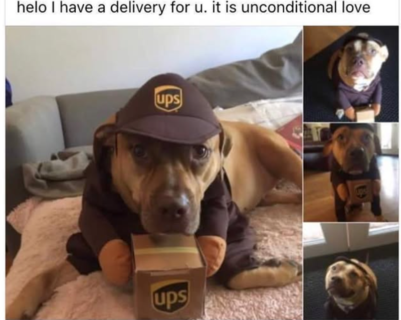 helo I have a delivery for u. it is unconditional love ups ups Ups