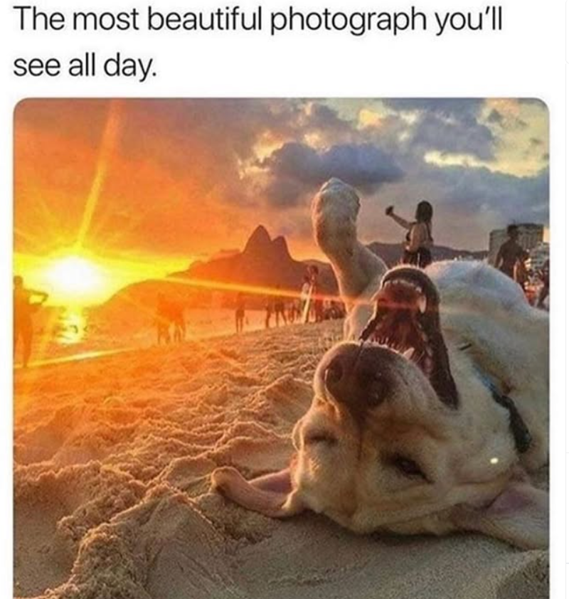 The most beautiful photograph you'll see all day.