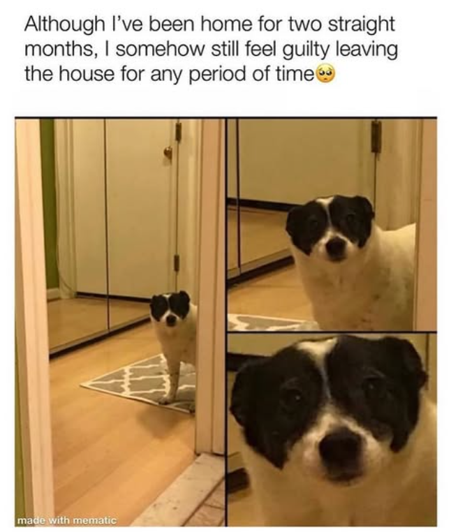 Although I've been home for two straight months, I somehow still feel guilty leaving the house for any period of time made with mematic