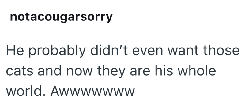 notacougarsorry He probably didn't even want those cats and now they are his whole world. Awwwwwww