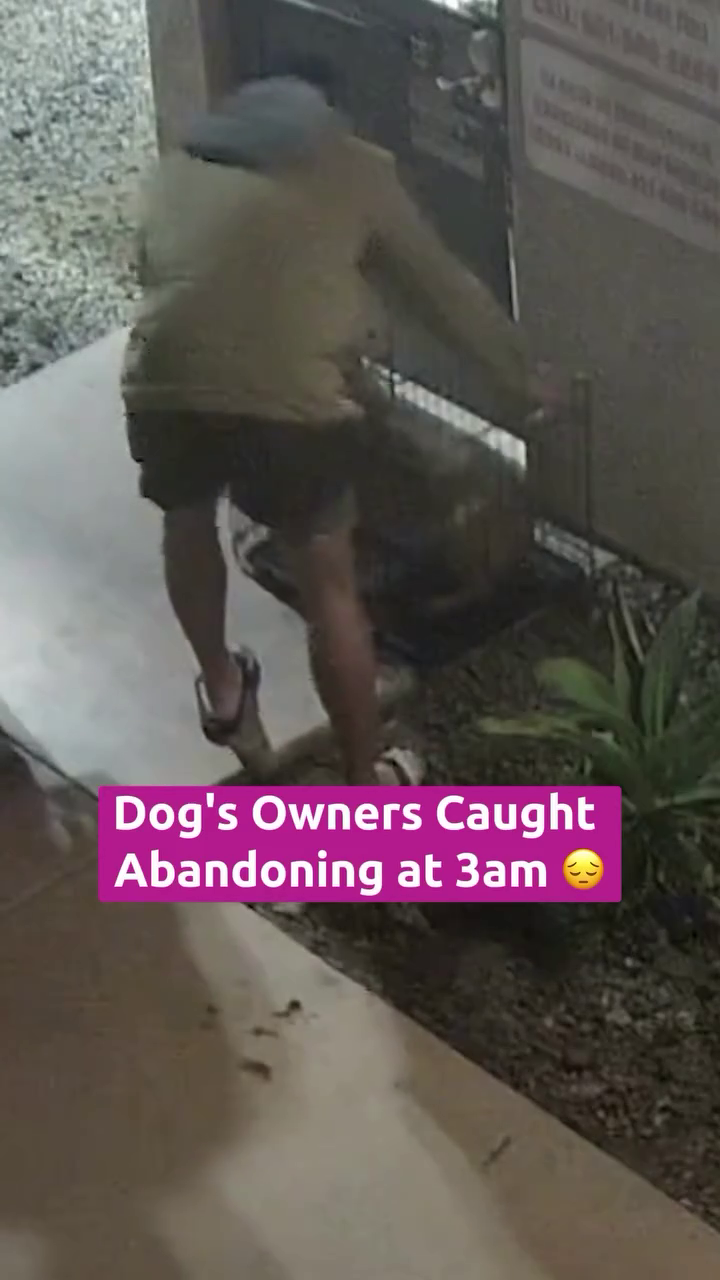 Dog's Owners Caught Abandoning at 3am