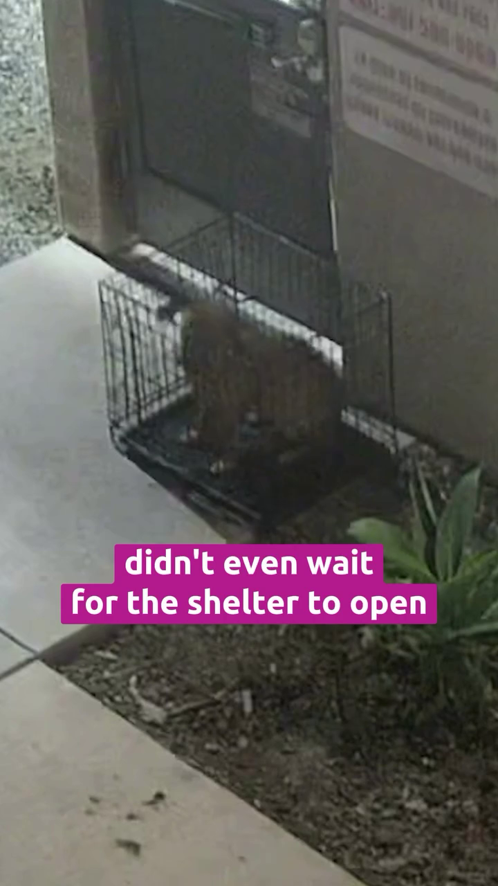500 didn't even wait for the shelter to open
