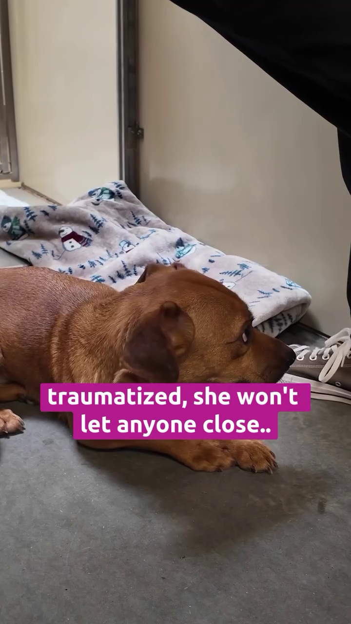 traumatized, she won't let anyone close..