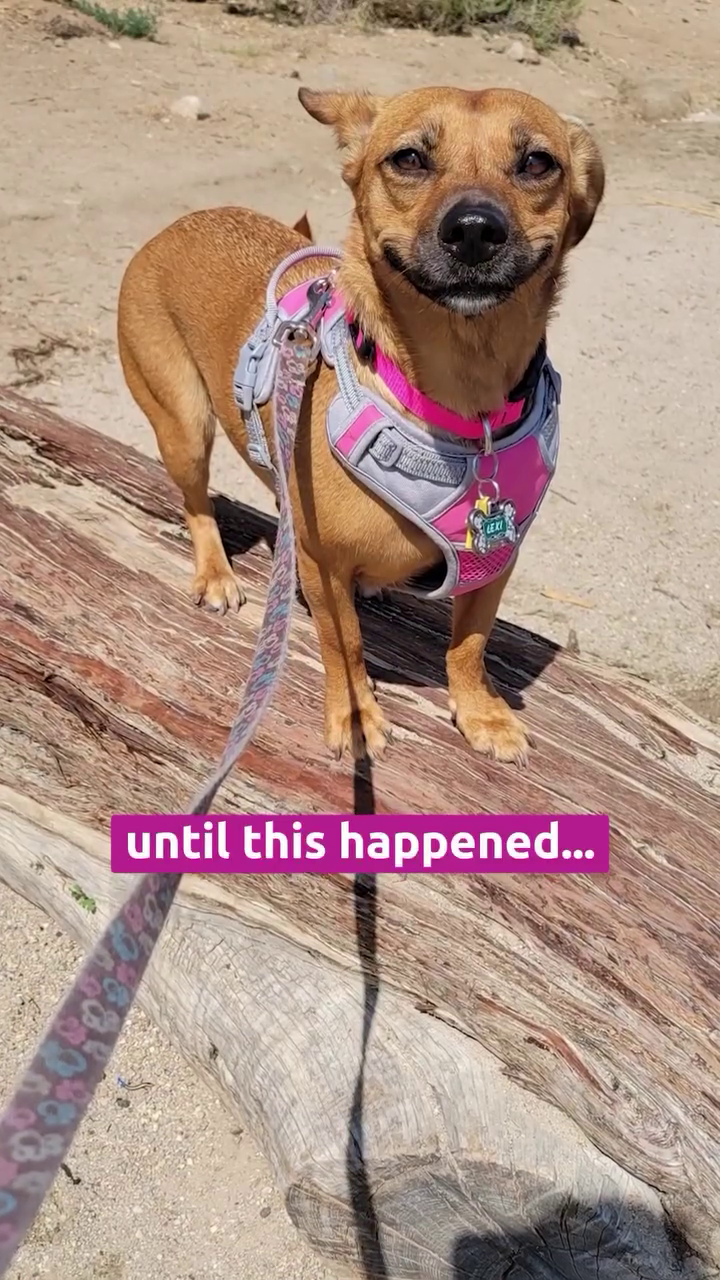 until this happened...