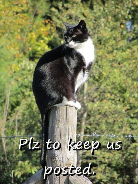 Plz to keep us posted