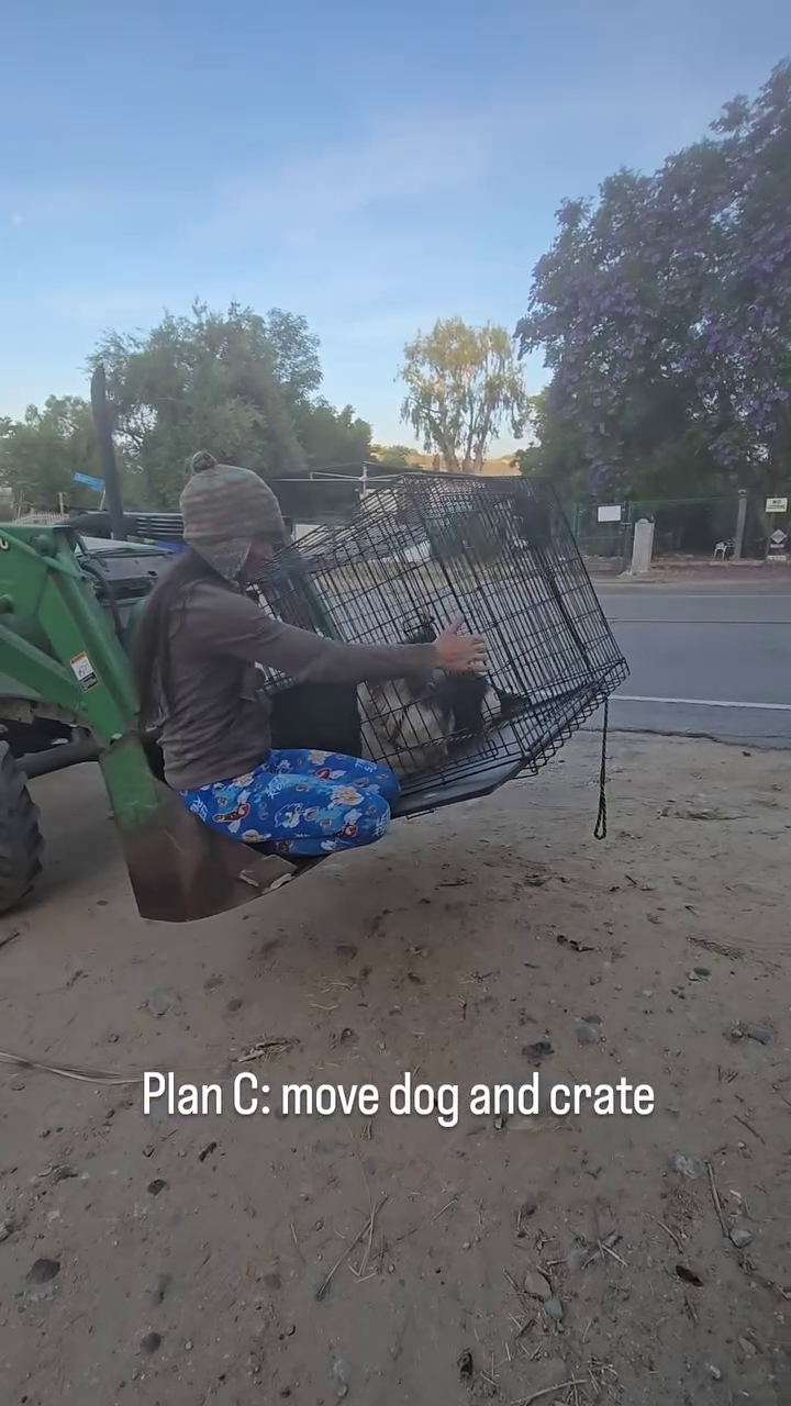 Plan C: move dog and crate