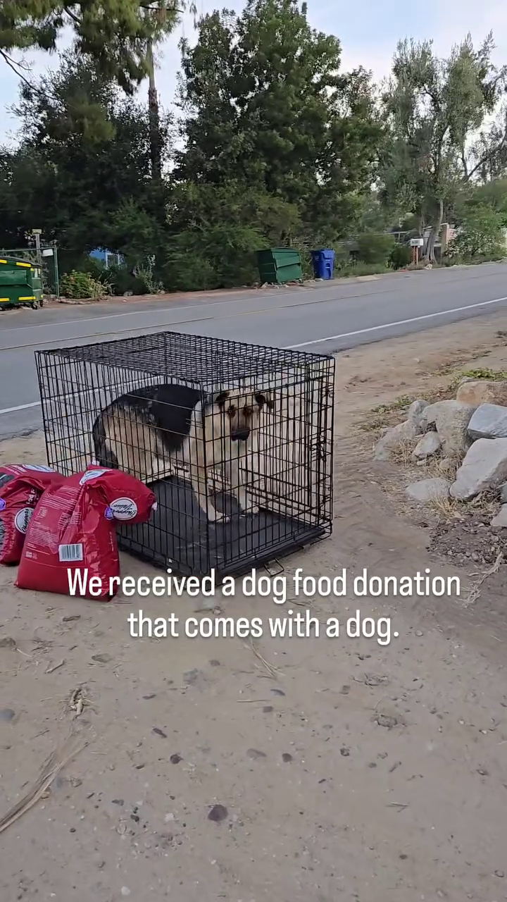 We received a dog food donation that comes with a dog.