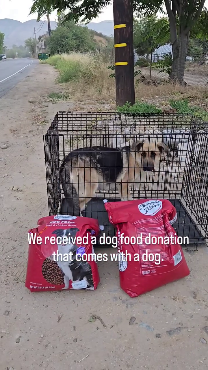 Shoppers Value DOG FOOD beef & chicken flavor We received a dog food donation that comes with a dog. NET WT 32 LB (14.51kg) 077018