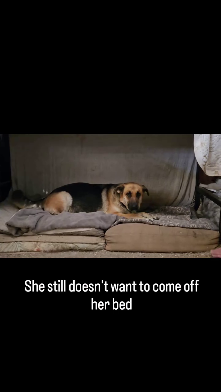 She still doesn't want to come off her bed
