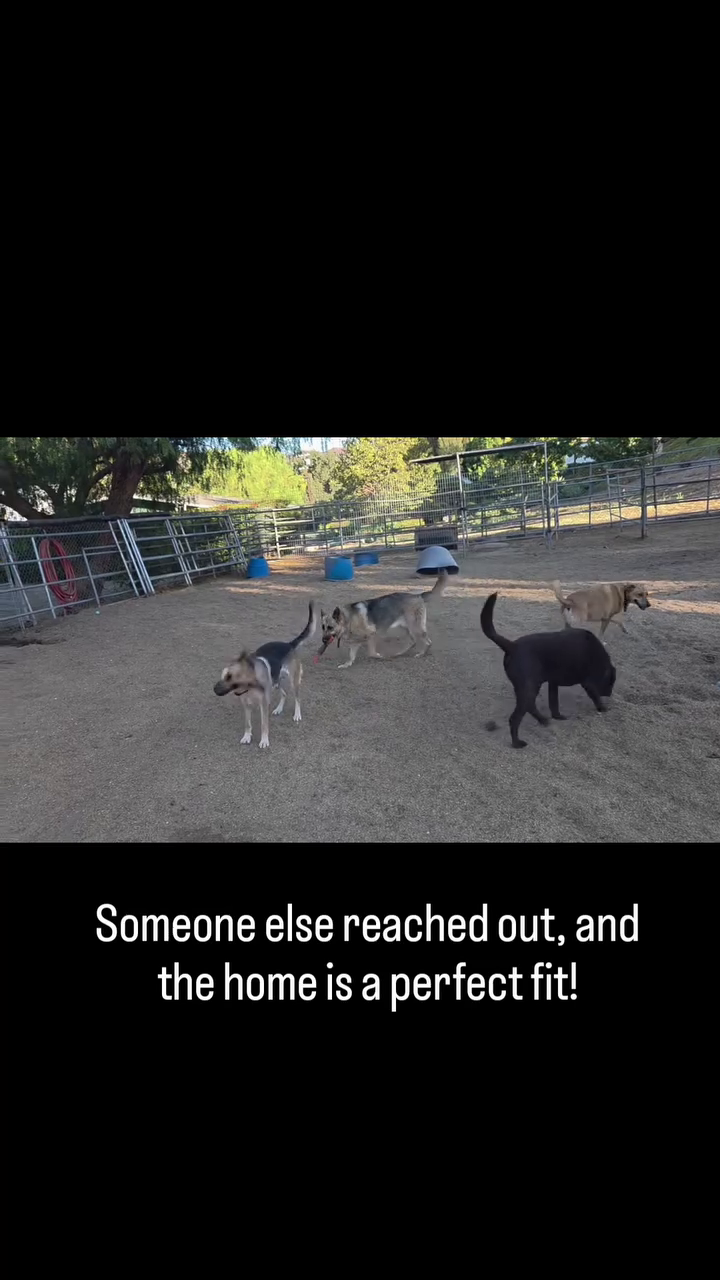 Someone else reached out, and the home is a perfect fit!