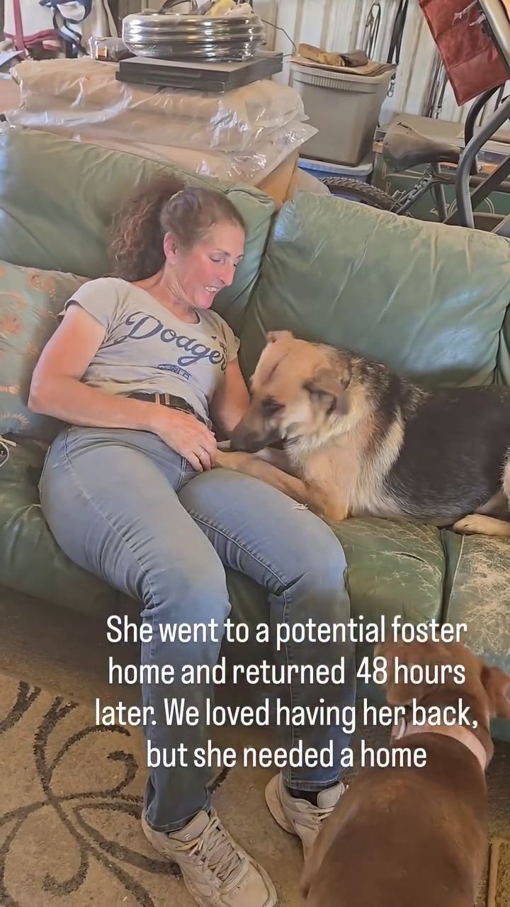 Doage ORLA She went to a potential foster home and returned 48 hours later. We loved having her back, but she needed a home