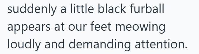 suddenly a little black furball appears at our feet meowing loudly and demanding attention.