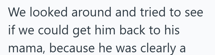 We looked around and tried to see if we could get him back to his mama, because he was clearly a