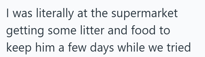 I was literally at the supermarket getting some litter and food to keep him a few days while we tried