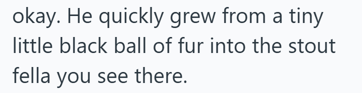 okay. He quickly grew from a tiny little black ball of fur into the stout fella you see there.