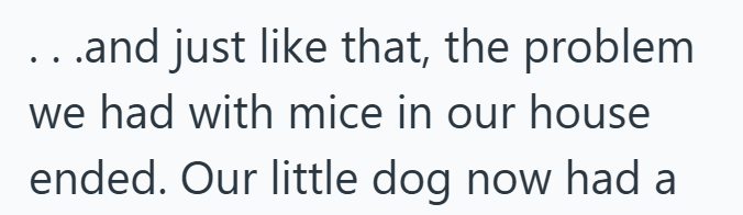 . .and just like that, the problem we had with mice in our house ended. Our little dog now had a