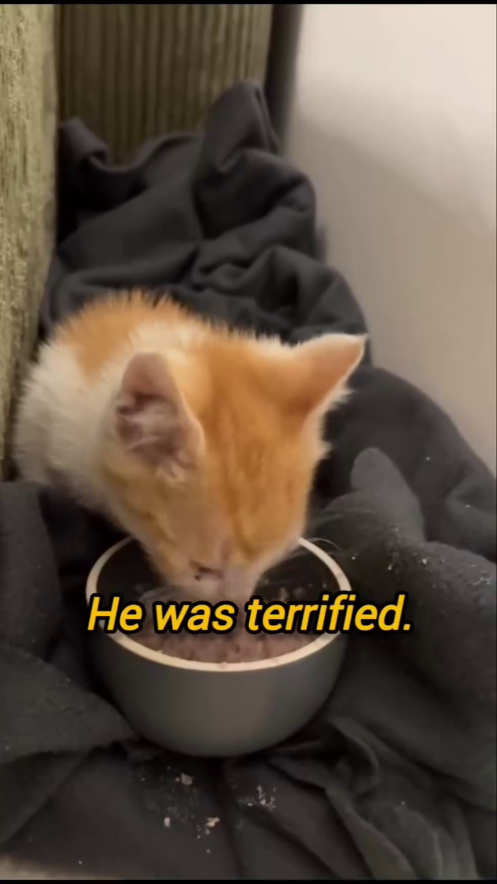 He was terrified.