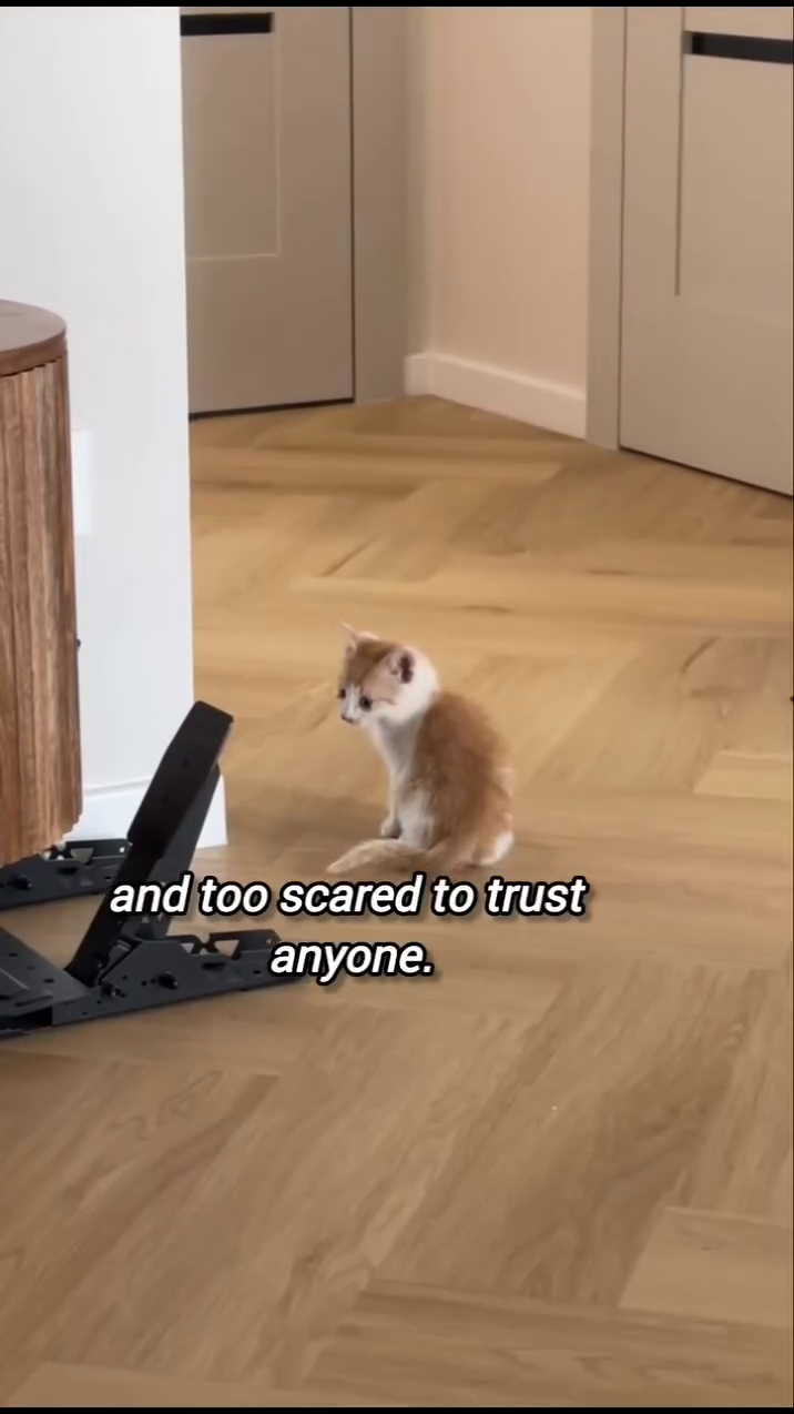 and too scared to trust P anyone.