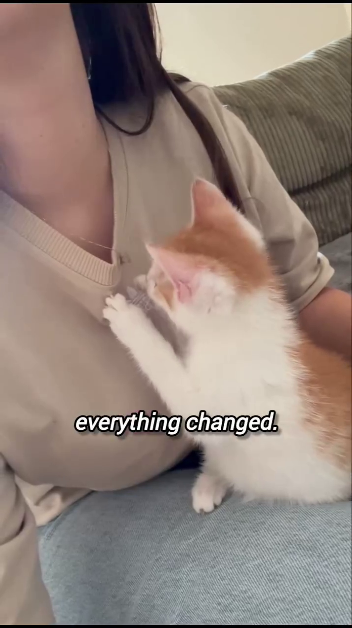 everything changed.