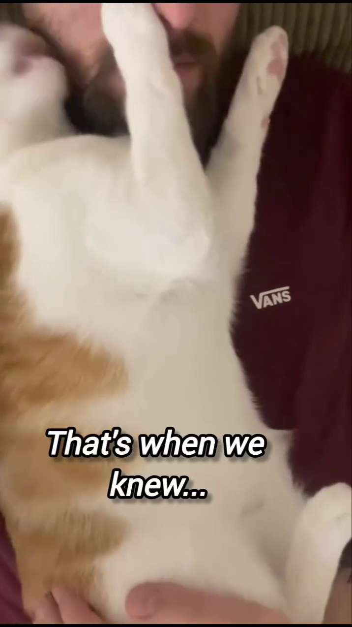 That's when we knew... VANS