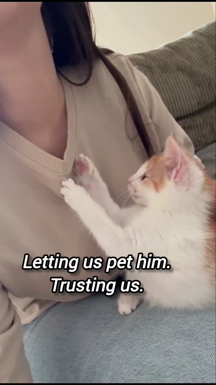 Letting us pet him. Trusting us.