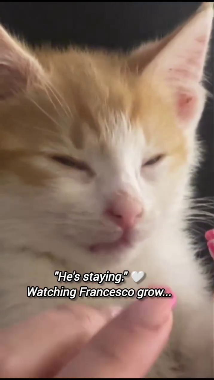 "He's staying!" Watching Francesco grow...