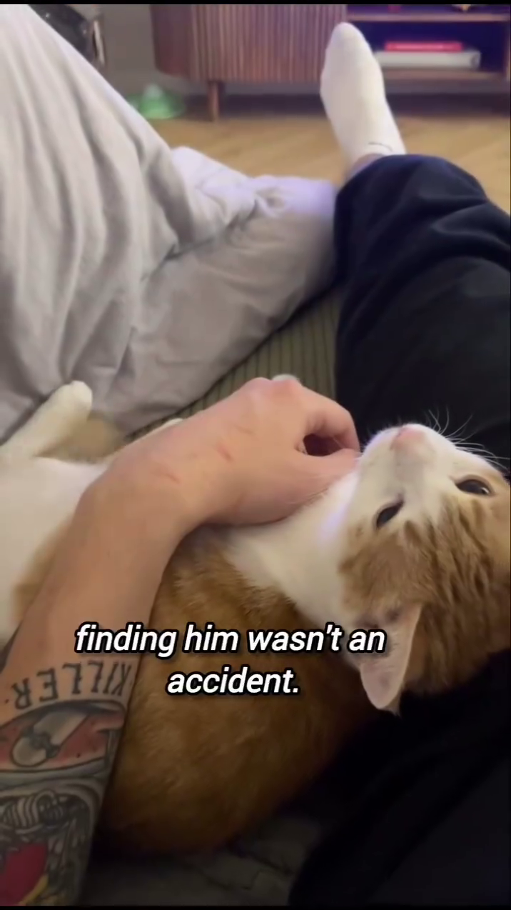 finding him wasn't an 77 accident.