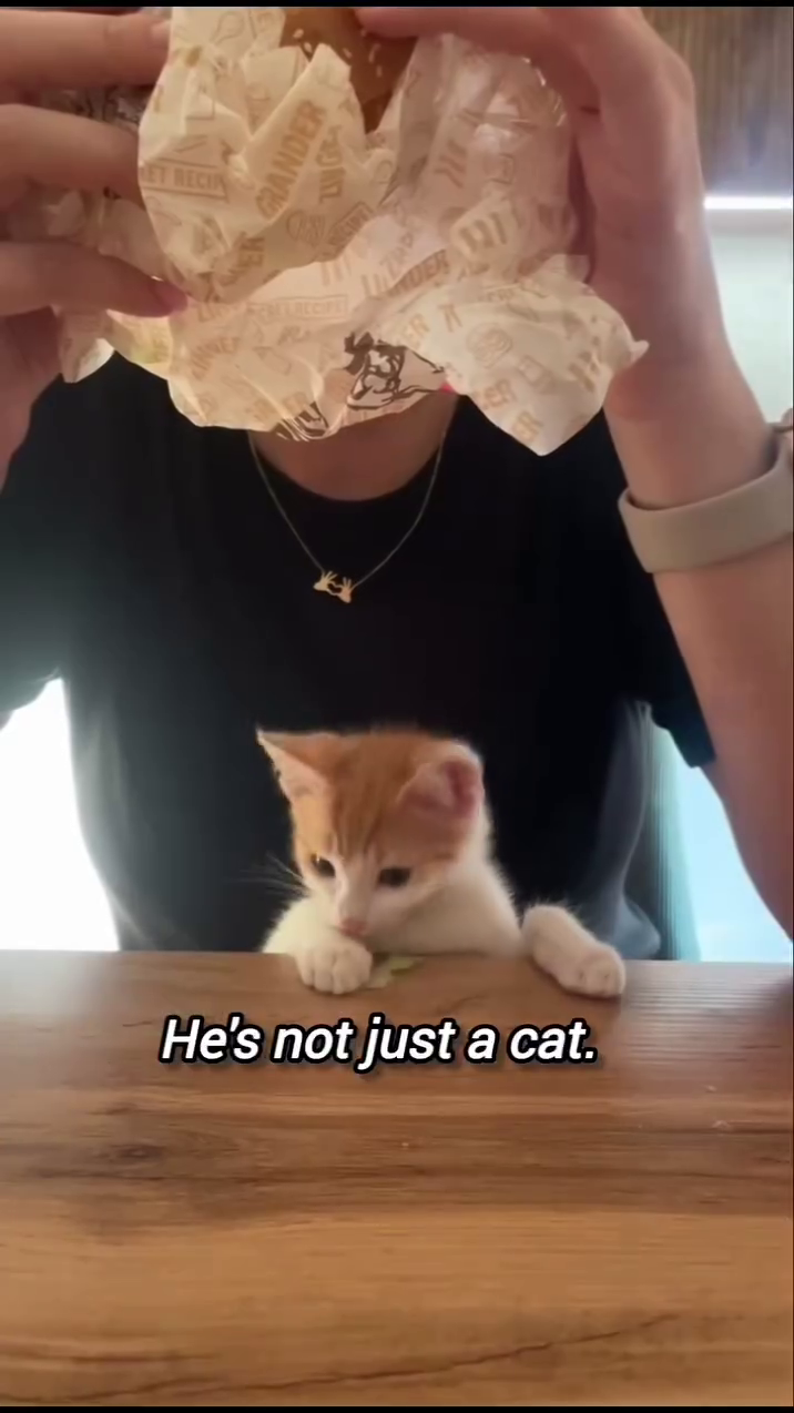 ET RECIP He's not just a cat. GRANDER DER 117 R