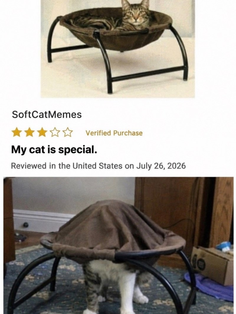 SoftCatMemes Verified Purchase My cat is special. Reviewed in the United States on July 26, 2026