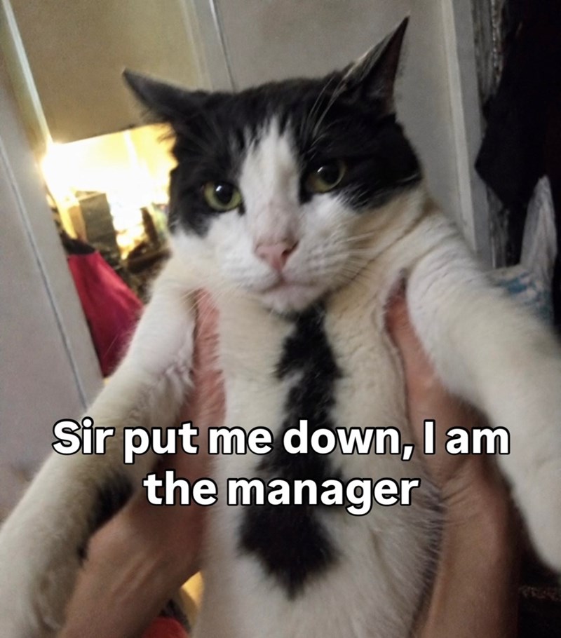 Sir put me down, I am the manager