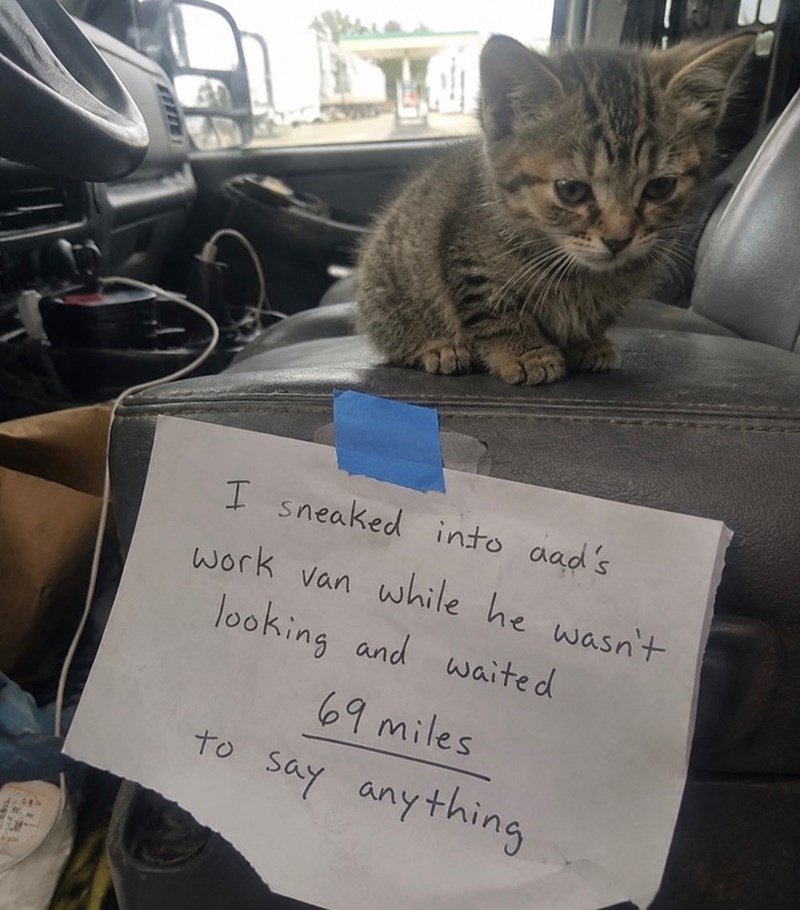 I sneaked into aad's work van while he wasn't looking and waited 69 miles to say anything