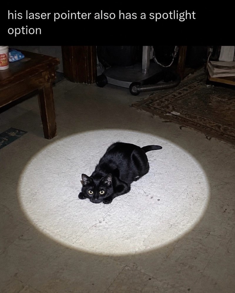 his laser pointer also has a spotlight option