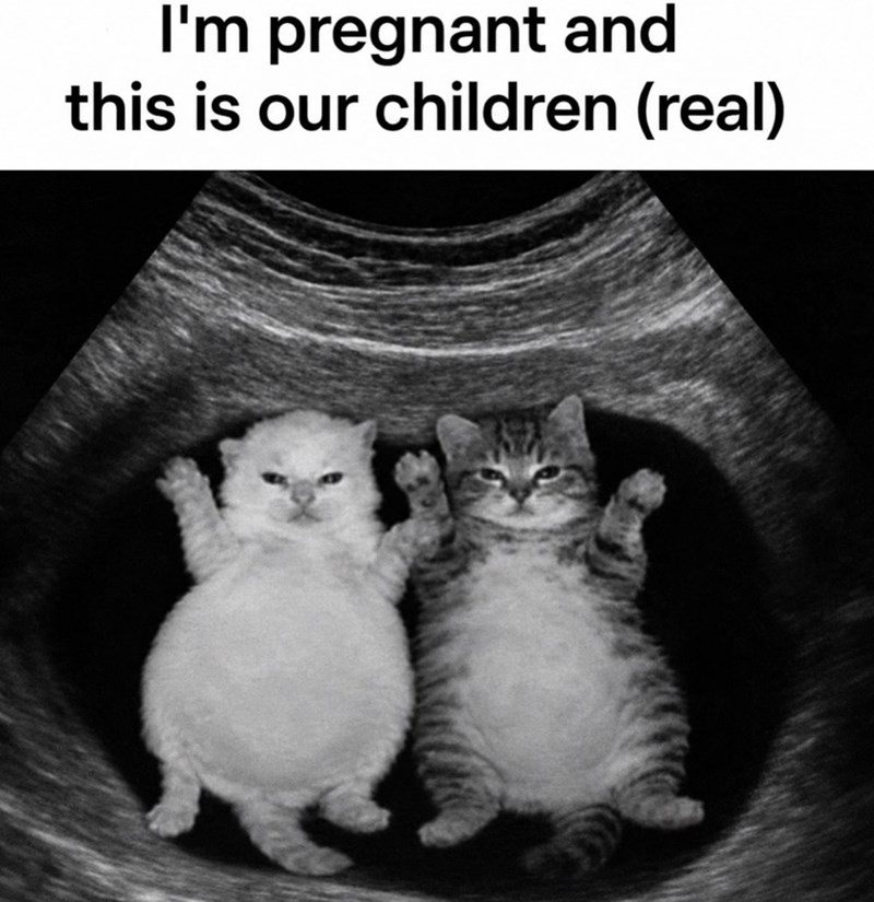 I'm pregnant and this is our children (real)