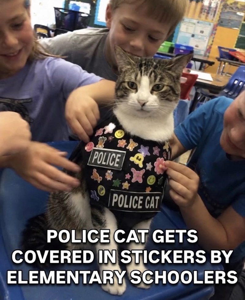 POLICE POLICE CAT POLICE CAT GETS COVERED IN STICKERS BY ELEMENTARY SCHOOLERS