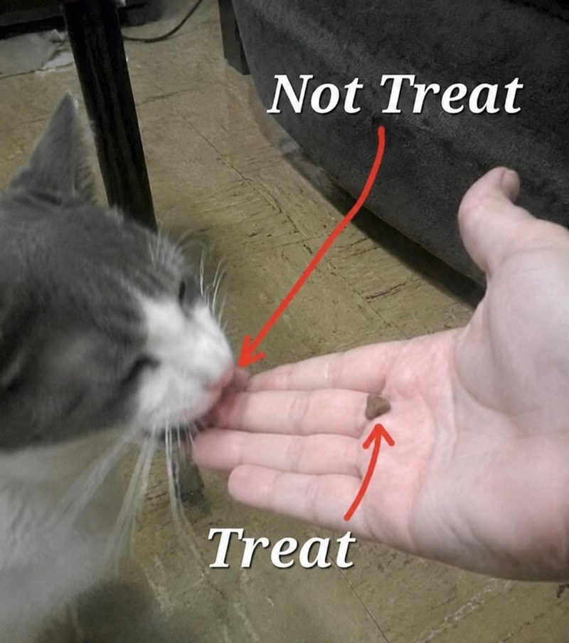 Not Treat Treat