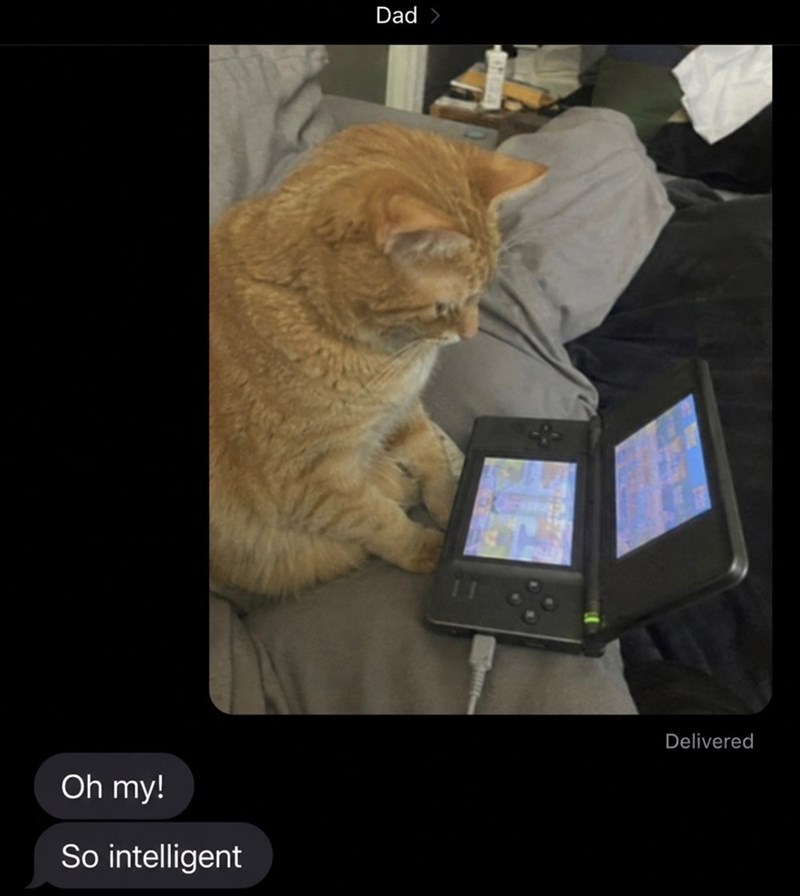 Oh my! So intelligent Dad > Delivered